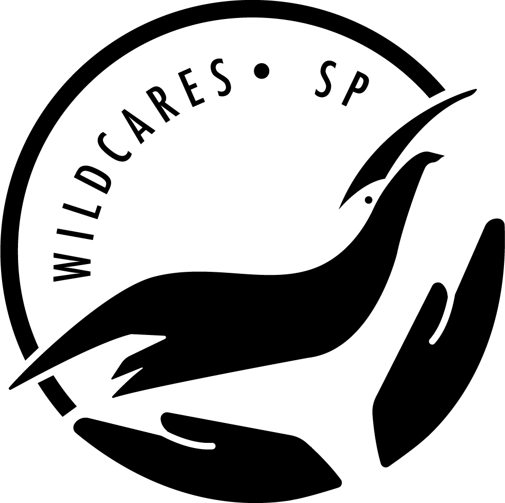 LOGO-WILDCARESSP_DEFINITIVO-2