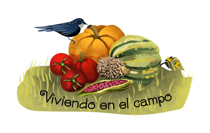 bodegon_campo_10