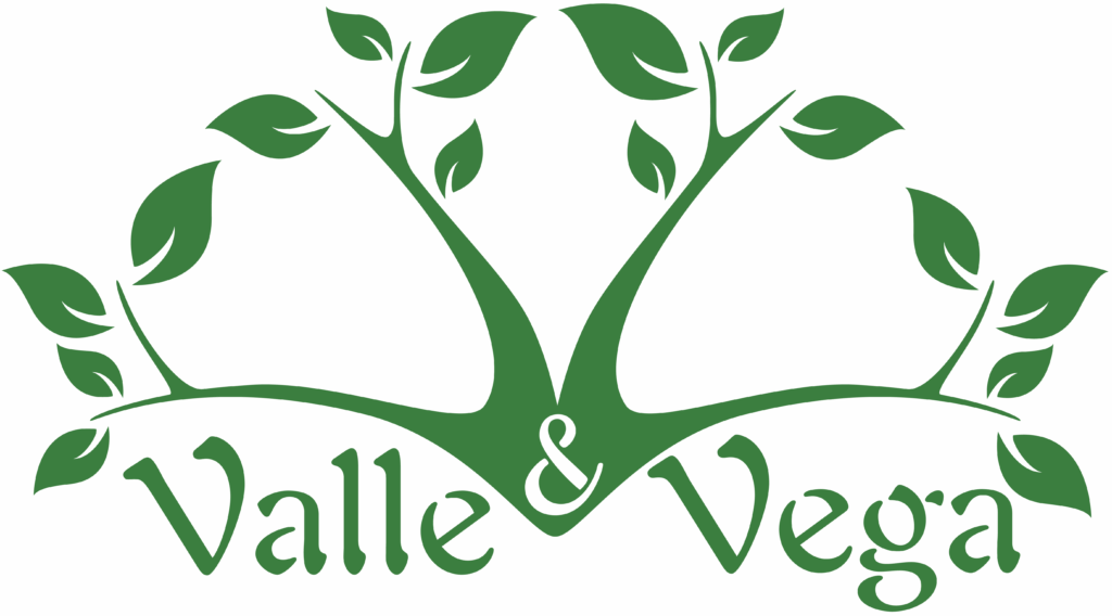 logo-Valle-y-vega