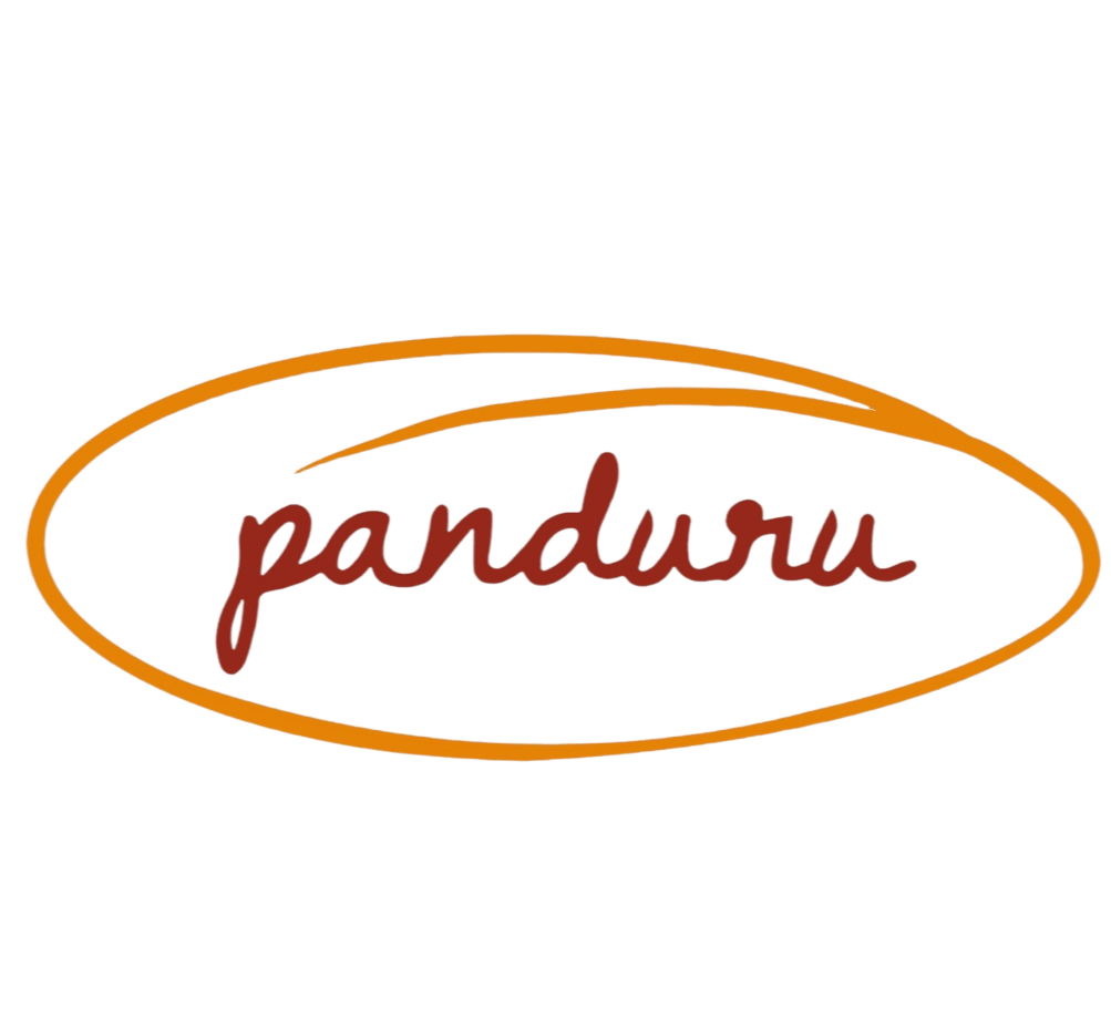 logo-Panduru-trasparente-1